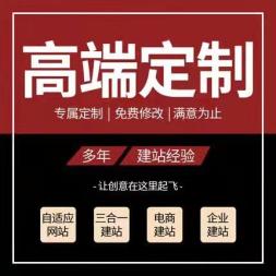 软件开发 深圳网站建设【网页优化公司】企业网站开发制作设计