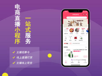 网站APP，小程序公众号，物联网，软件，游戏，商城