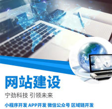 企业官网型、产品展示型、会员服务型等 专业小程序app开发